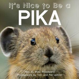 It's Nice to Be a Pika by Molly Woodward