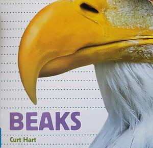 Whose Is It? Beaks by Curt Hart