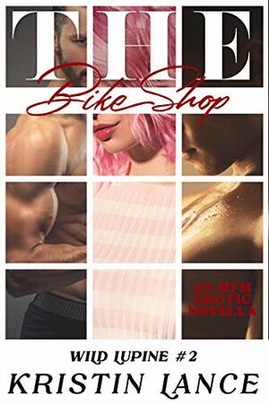 The Bike Shop: An MMF Bisexual Erotic Story by Kristin Lance