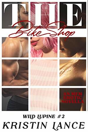 The Bike Shop: An MMF Bisexual Erotic Story by Kristin Lance