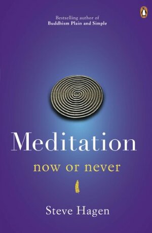 Meditation Now or Never. Steve Hagen by Steve Hagen