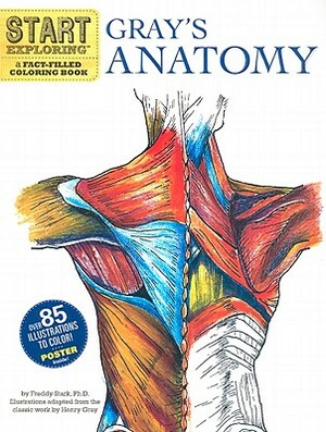 Gray's Anatomy: A Fact-Filled Coloring Book [With Poster] by Fred Stark