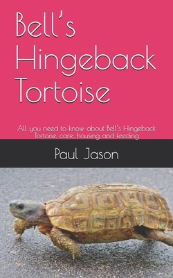 Bell's Hingeback Tortoise: All you need to know about Bell's Hingeback Tortoise, care, housing and feeding by Paul Jason