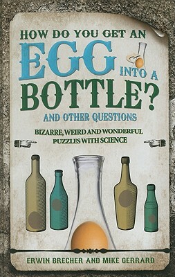 How Do You Get an Egg Into a Bottle?: And Other Puzzles by Erwin Brecher