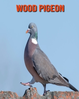 Wood Pigeon: Learn About Wood Pigeon and Enjoy Colorful Pictures by Matilda Leo