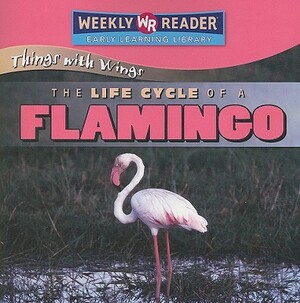 The Life Cycle of a Flamingo by JoAnn Early Macken