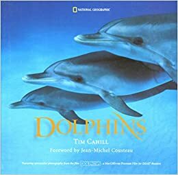 Dolphins by Tim Cahill