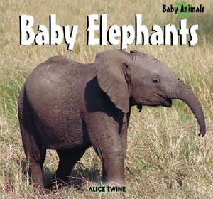 Baby Elephants by Alice Twine