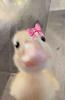 duckkwazzie's profile picture