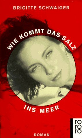 Wie kommt das Salz ins Meer by Brigitte Schwaiger