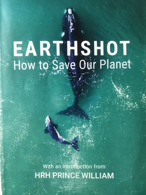 Earthshot by Colin Butfield, Jonnie Hughes