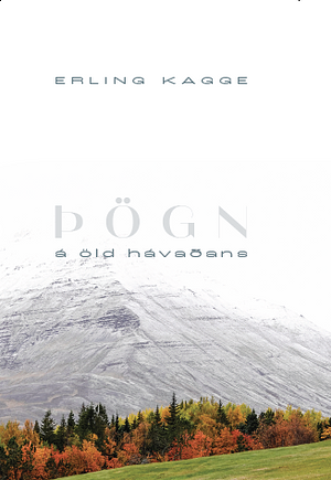 Þögn á öld hávaðans - Ánægjan af að loka heiminn úti by Erling Kagge, Magnús Þór Hafsteinsson