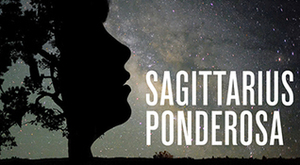 Sagittarius Ponderosa by M.J. Kaufman