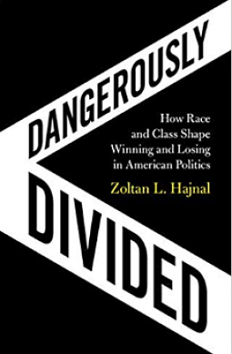 Dangerously Divided: How Race and Class Shape Winning and Losing in American Politics by Zoltan L Hajnal