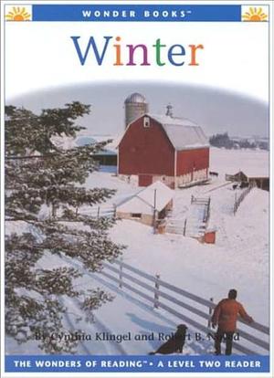 Winter by Robert B. Noyed, Cynthia Amoroso