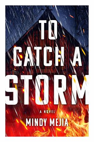 To Catch a Storm by Mindy Mejia