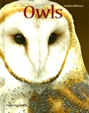 Owls by Tom Warhol