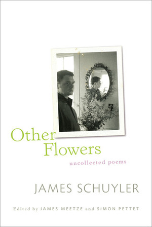 Other Flowers: Uncollected Poems by James Meetze, Simon Pettet, James Schuyler