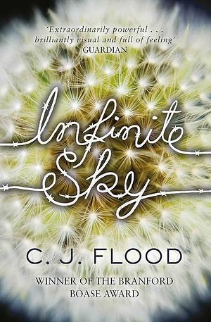 Infinite Sky by C.J. Flood