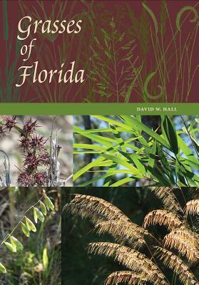 Grasses of Florida by David W. Hall