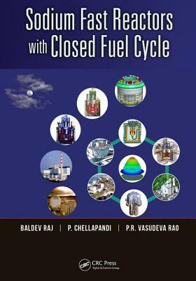 Sodium Fast Reactors with Closed Fuel Cycle by P. Chellapandi, Baldev Raj, P. R. Vasudeva Rao