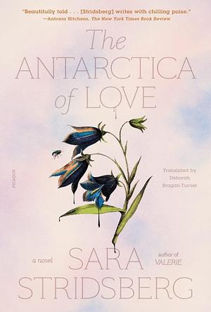 The Antarctica of Love: A Novel by Sara Stridsberg