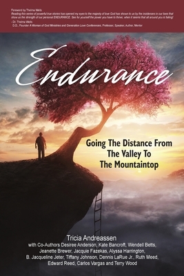 Endurance: Going The Distance From The Valley To The Mountaintop by Tricia Andreassen