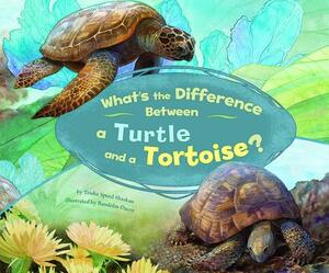 What's the Difference Between a Turtle and a Tortoise? by Trisha Speed Shaskan