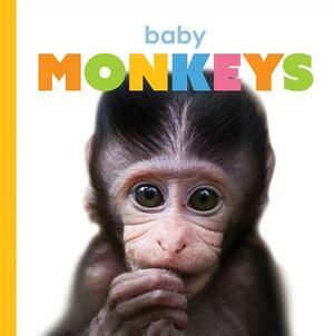 Baby Monkeys by Kate Riggs