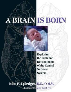 A Brain Is Born: Exploring the Birth and Development of the Central Nervous System by John E. Upledger