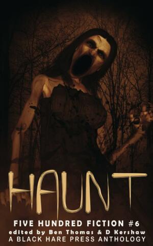 Haunt: A Supernatural Anthology by Darlene Holt, Kimberly Rei, R.A. Goli, Scott McGregor, Leanbh Pearson, S.O. Green, Chris Hewitt, Helen M. Merrick, Warren Benedetto, J.W. Garrett, Peter J. Foote, J.M. Faulkner, Maxine Churchman, L.J. McLeod, Lynne Lumsden Green, Patrick Winters, Stephanie Scissom, B.F. Vega, Lynne Phillips, Eric Butler, Kate Campbell, Jay Alexander, Ben Thomas, Sarah Jane Justice, Chris Bannor, Jodi Jensen, David Green Sr., D. Kershaw