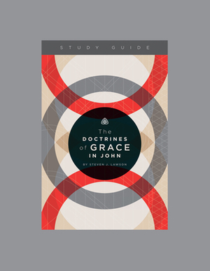 The Doctrines of Grace in John by Ligonier Ministries