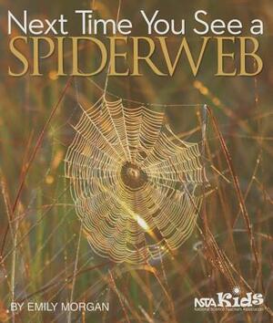 Next Time You See a Spiderweb by Emily Morgan