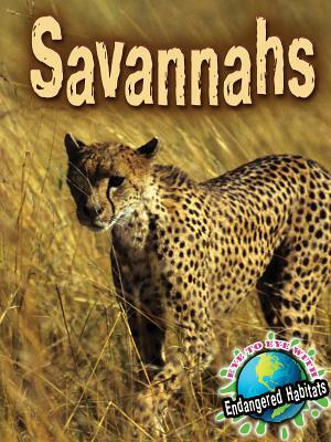 Savannahs by Precious McKenzie