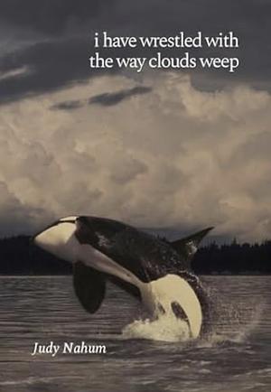 I Have Wrestled With The Way Clouds Weep by Judy Nahum