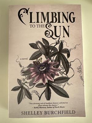Climbing To The Sun by Shelley Burchfield