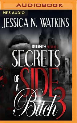 Secrets of a Side Bitch 3 by Jessica N. Watkins