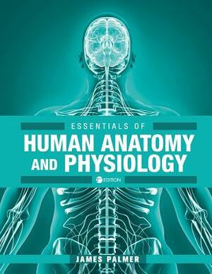 Essentials of Human Anatomy and Physiology by James Palmer