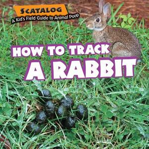 How to Track a Rabbit by Norman D. Graubart