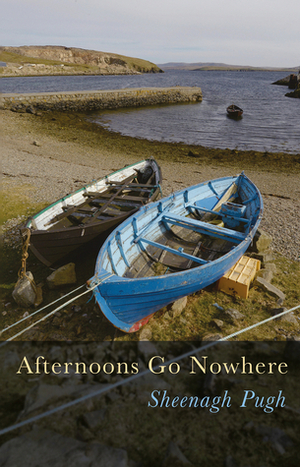 Afternoons Go Nowhere by Sheenagh Pugh