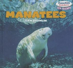 Manatees by Sam Drumlin