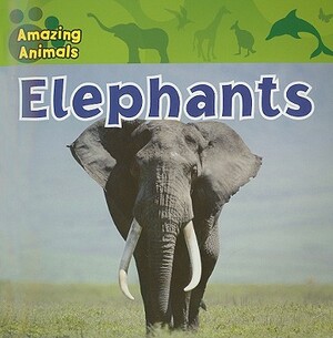 Elephants by Sarah Albee