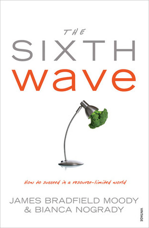 The Sixth Wave: How to Succeed in a Resource-Limited World by James Bradfield Moody