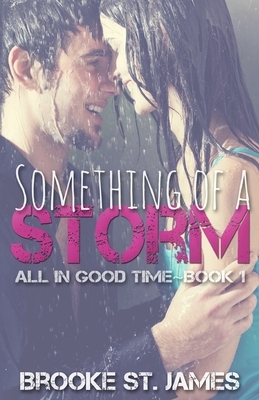 Something of a Storm by Brooke St James