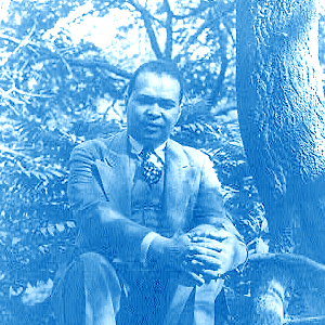 Copper Sun by Countee Cullen