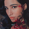 starborns's profile picture