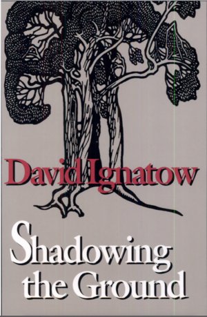 Shadowing the Ground by David Ignatow