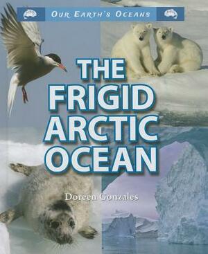 The Frigid Arctic Ocean by Doreen Gonzales