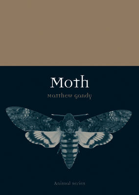 Moth by Matthew Gandy