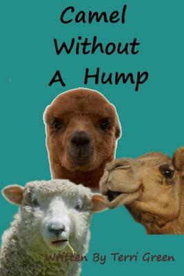 Camel Without A Hump by Terri Green